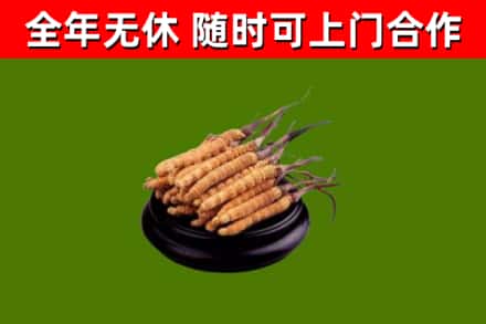 金城江烟酒回收冬虫夏草.jpg